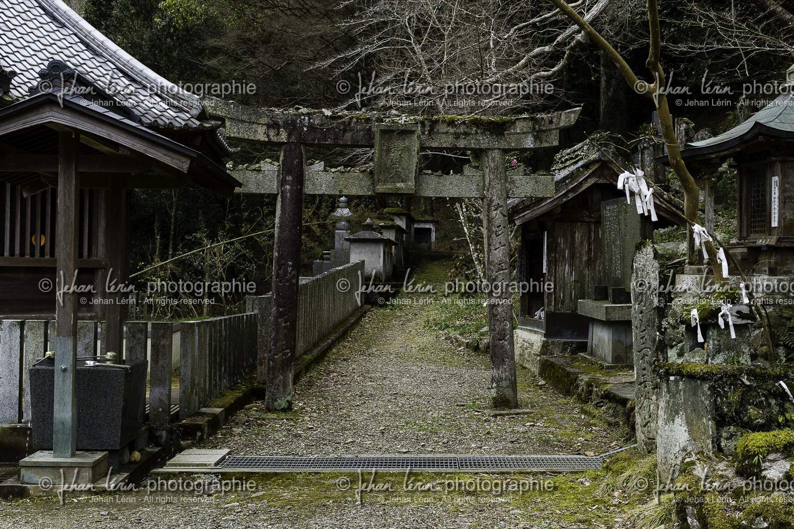 fujiidera_temple-11_shikoku_japon_06-03_2014-1947.jpg