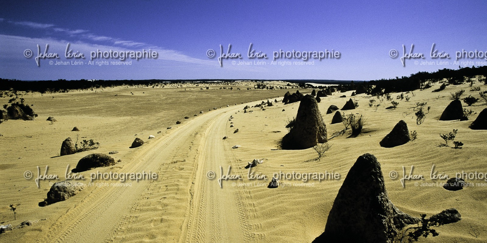 pinacles_nambung-national-park_68.jpg
