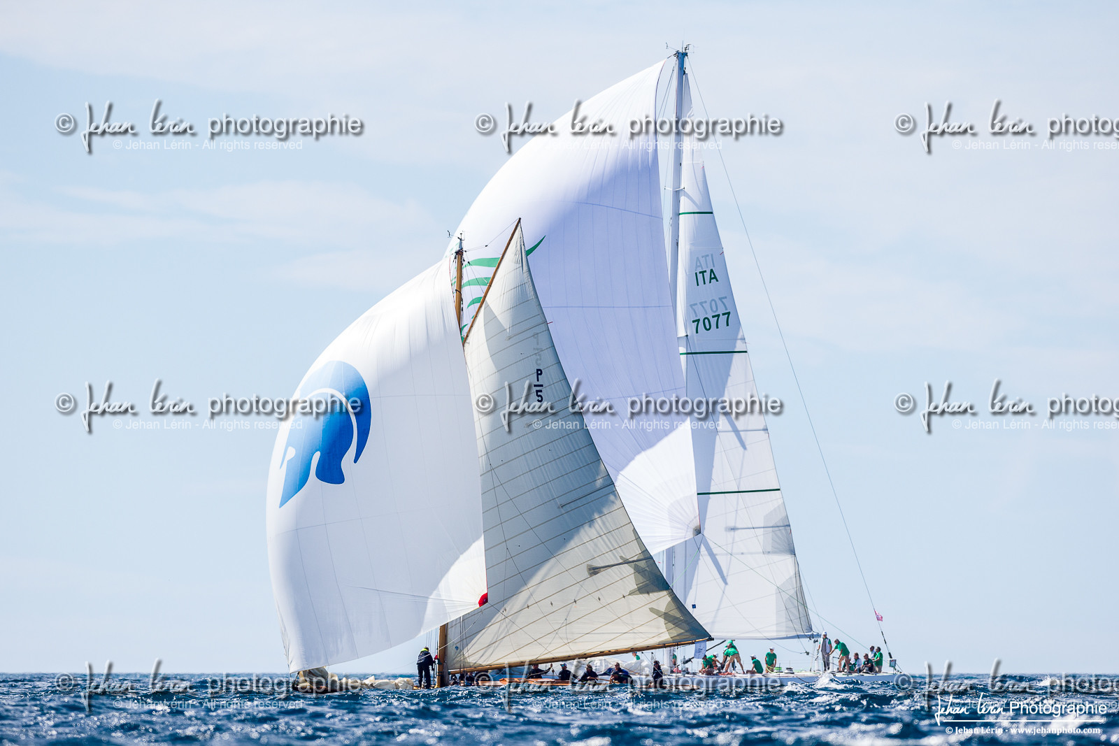 Régates Royales 2024