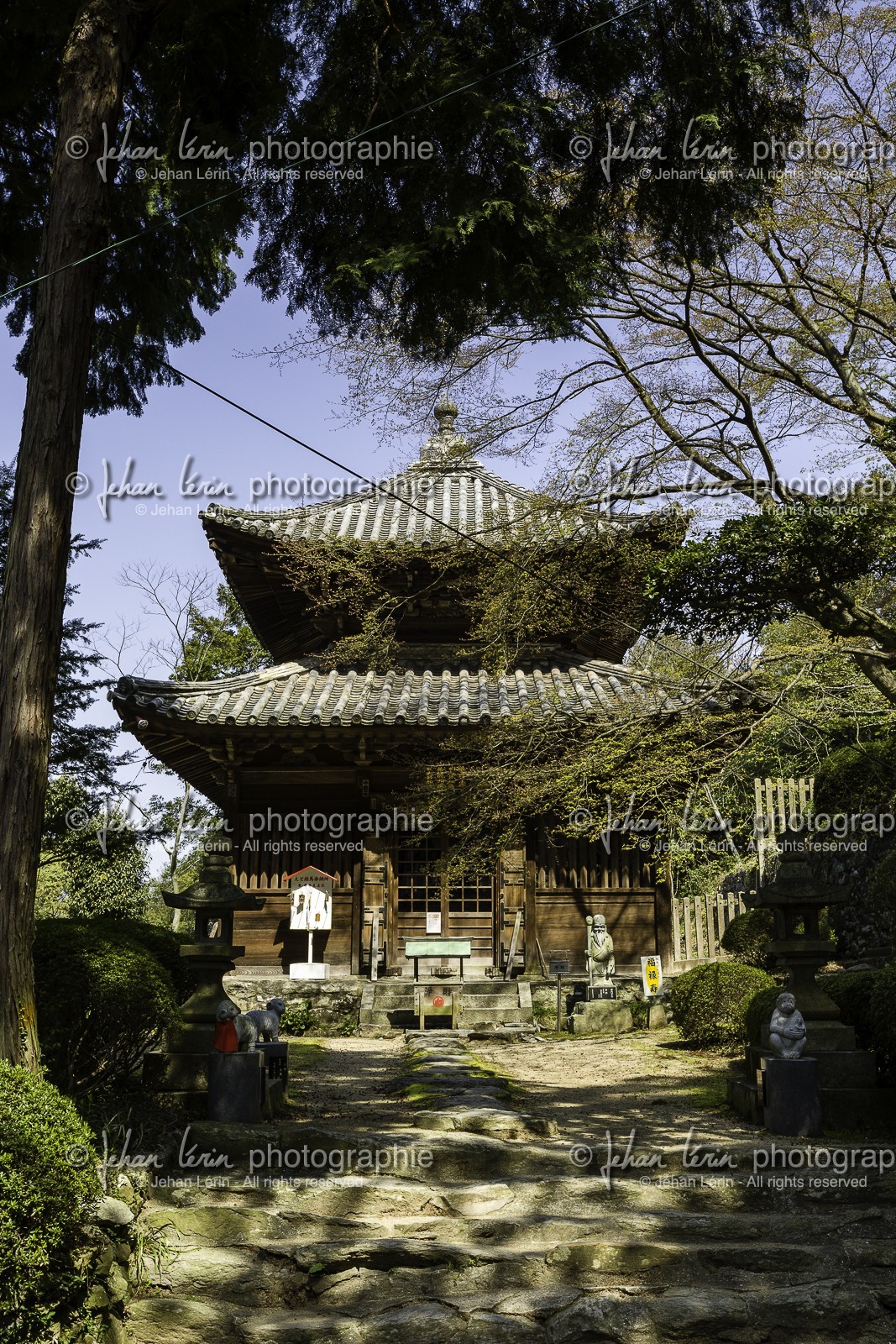 shiromineji_temple-81_shikoku_japon_09-04_2014-1065.jpg