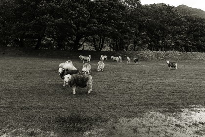 ambleside_lake-district-national-park_uk_oct-2012-2375-2.jpg