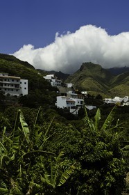 tenerife_avril_2010-0799.jpg