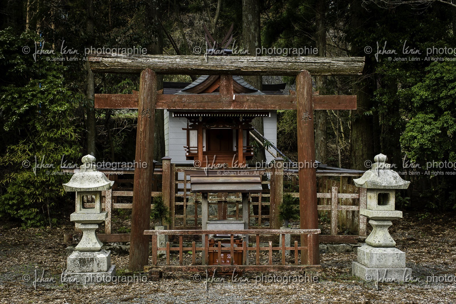 koyasan_japon_jl_1dx_16-04-2014-5141.jpg