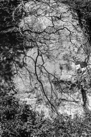 gourdon_jl_1dx_06-02-2017-0596.jpg