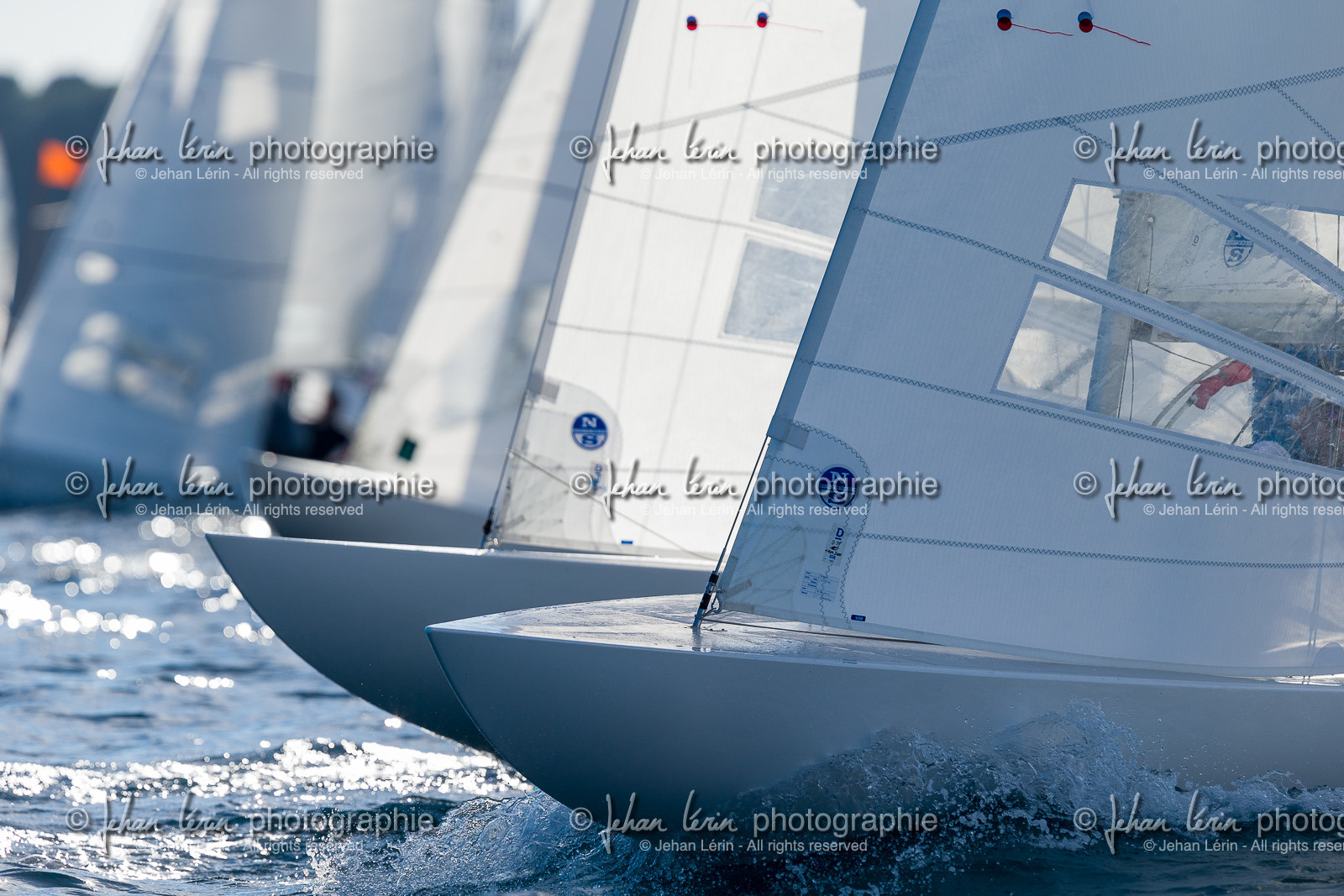 Armistice Cup Dragon 2022