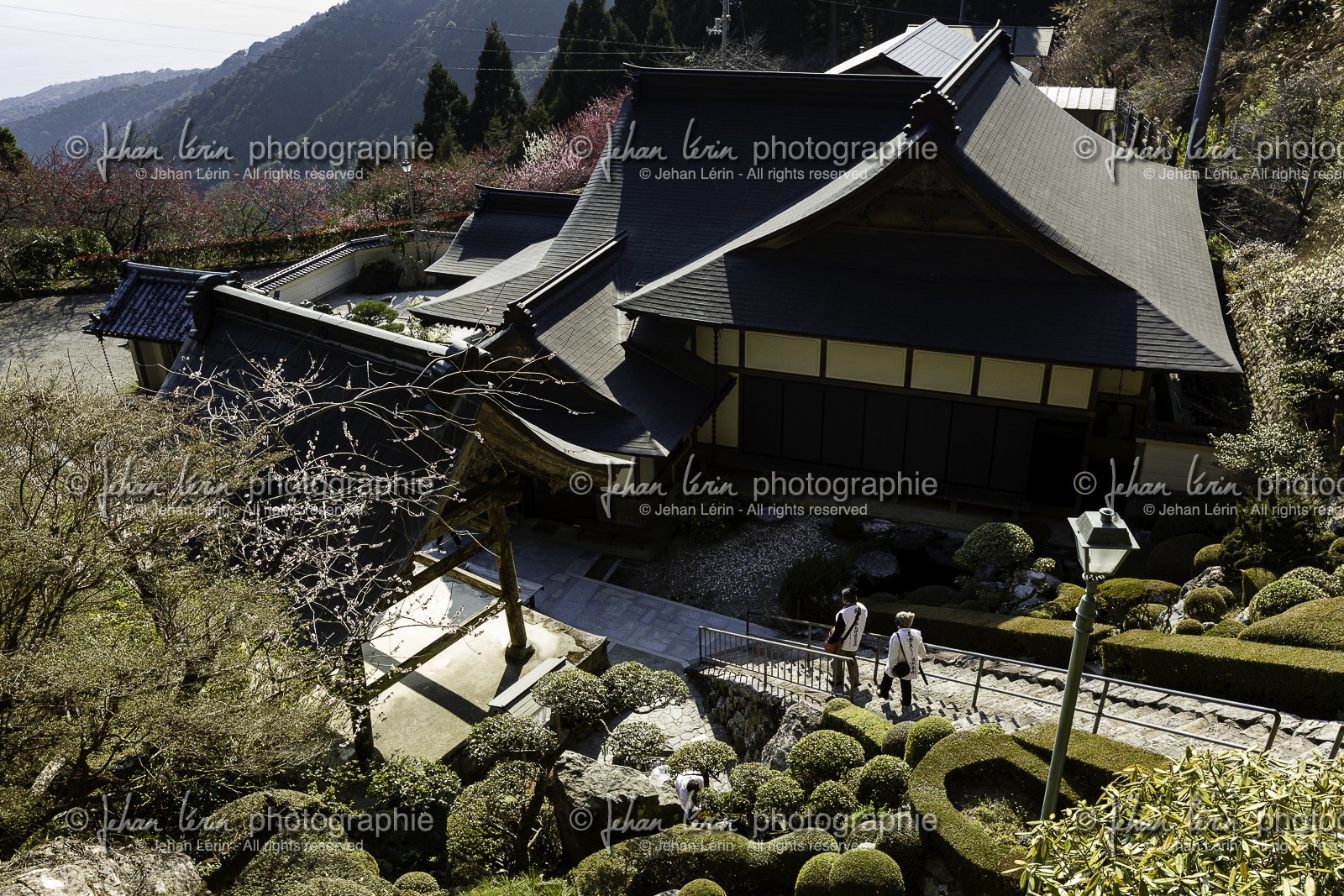 konomineji_temple-27_shikoku_japon_15-03_2014-0584.jpg