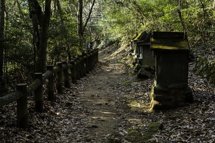 en-route-vers-le-temple-12_shikoku_japon_07-03_2014-1956.jpg