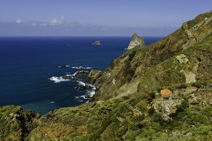 tenerife_avril_2010-0836.jpg