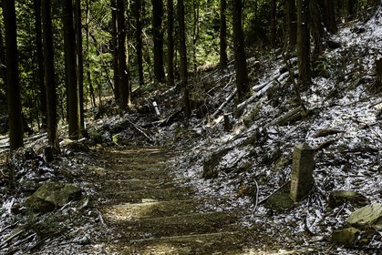 en-route-vers_kakurinji_temple-20_shikoku_japon_10-03_2014-2261.jpg