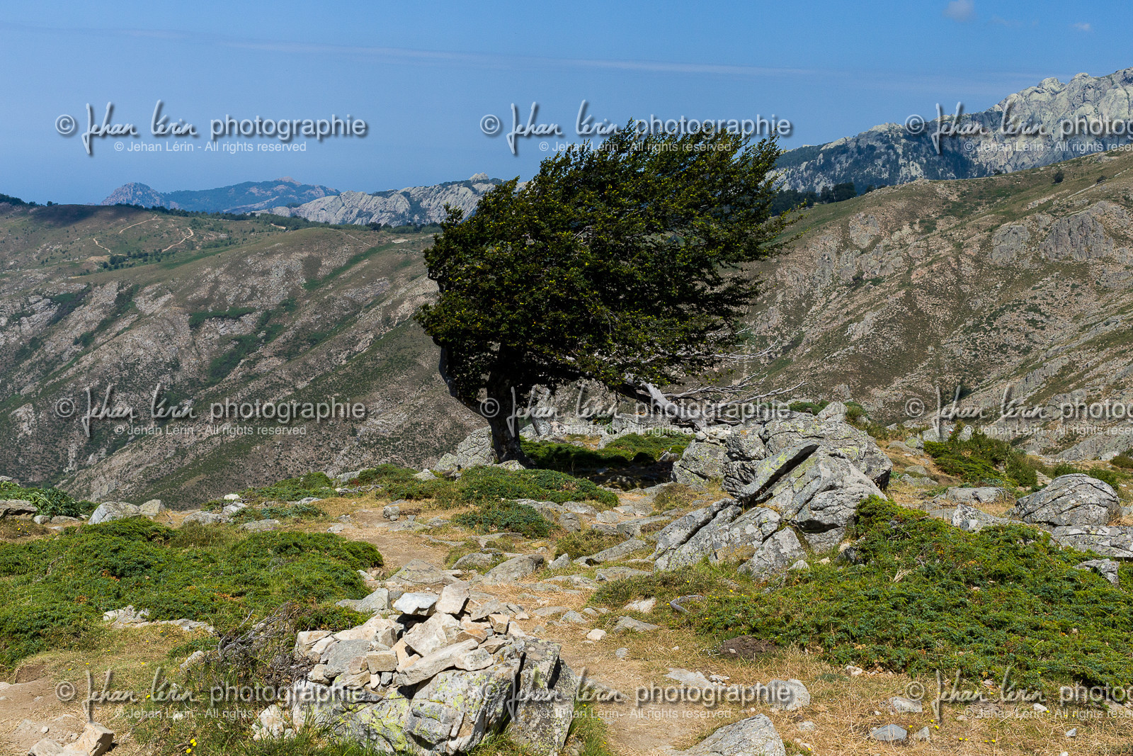 gr20_corse_jl_1dx_25-07-2016-0952.jpg