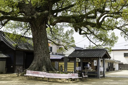 nagaoji_temple-87_shikoku_japon_11-04_2014-4660.jpg