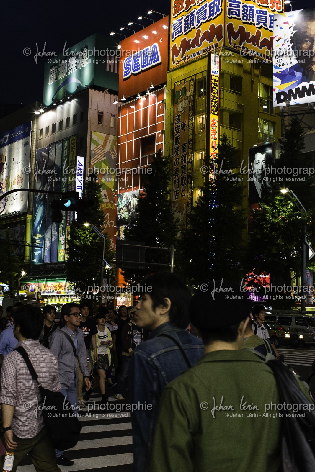 akihabara_tokyo_japon_jl_1dx_03-05-2014-6077.jpg