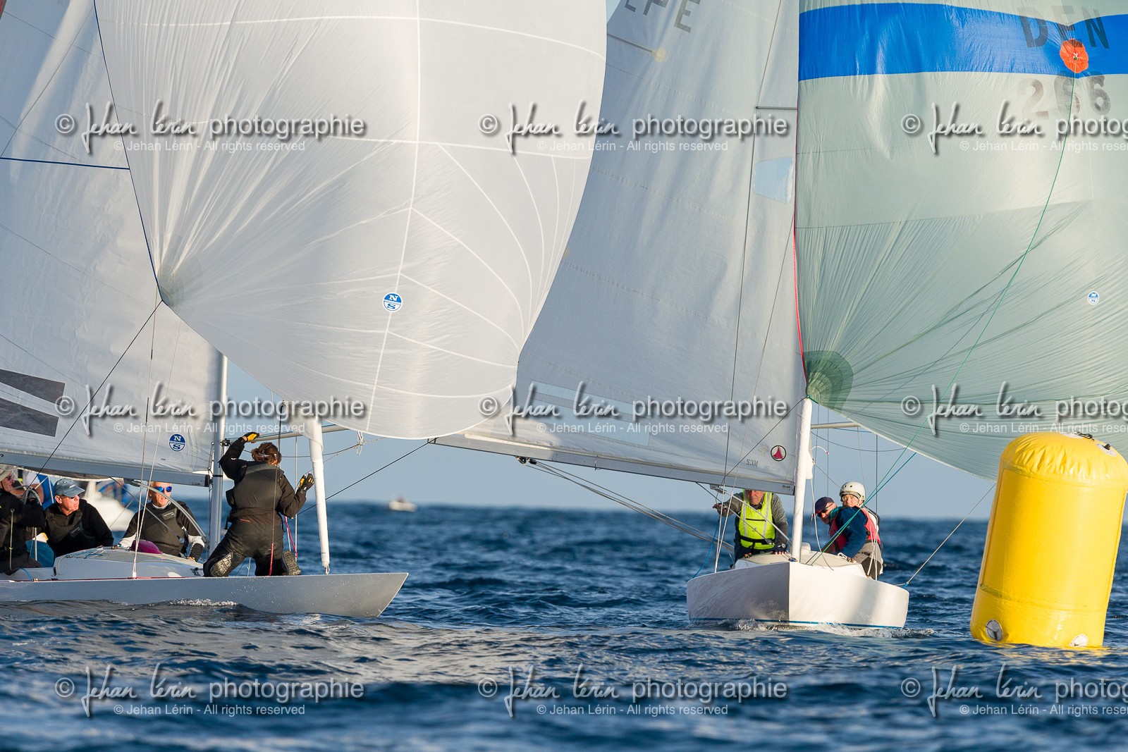 Armistice Cup Dragon 2022