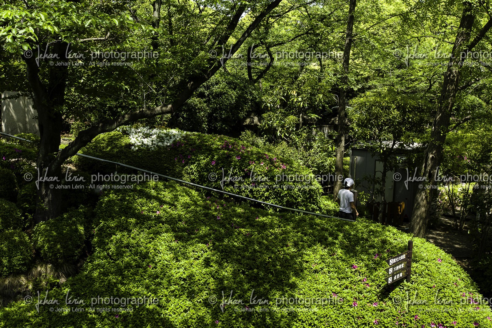 shiba-koen_tokyo_japon_jl_5d3_04-05-2014-1564.jpg