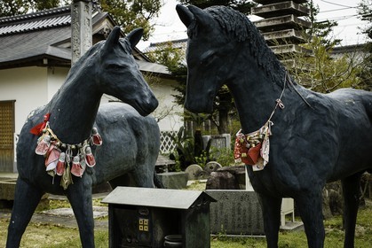 motoyamaji_temple-70_shikoku_japon_06-04_2014-3999.jpg