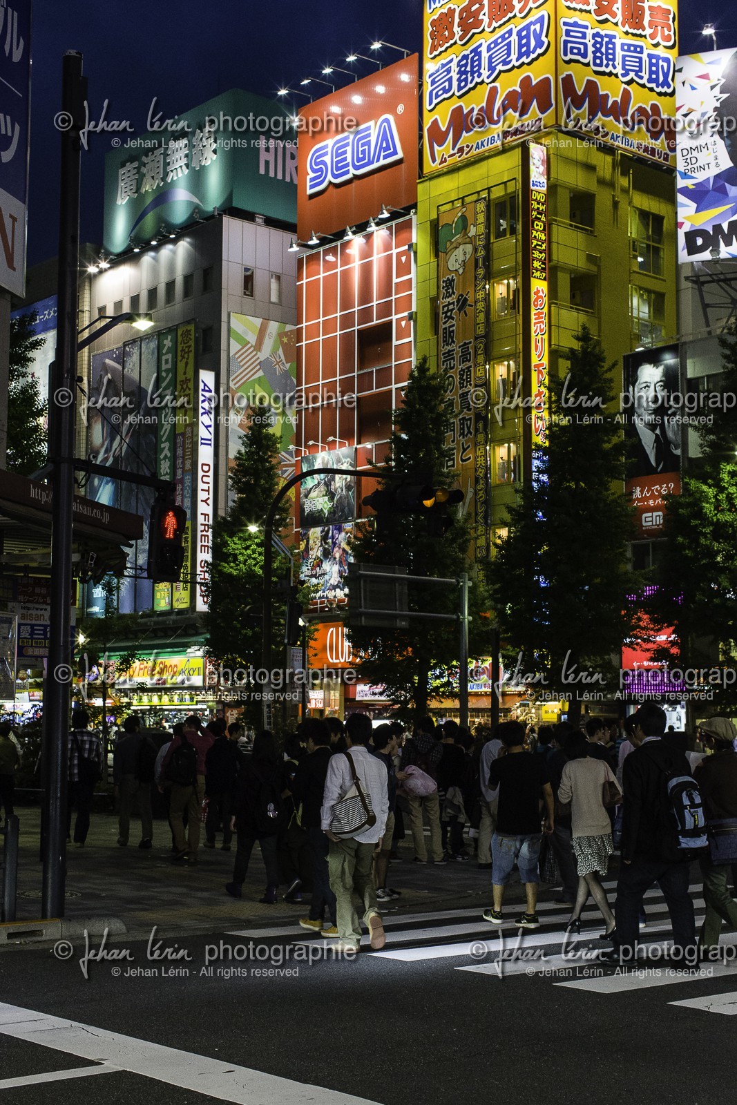 akihabara_tokyo_japon_jl_1dx_03-05-2014-6074.jpg