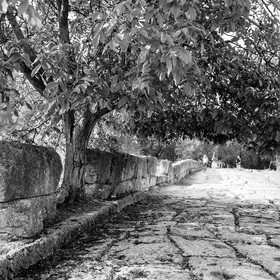 greece_dion_oct-2007-73.jpg