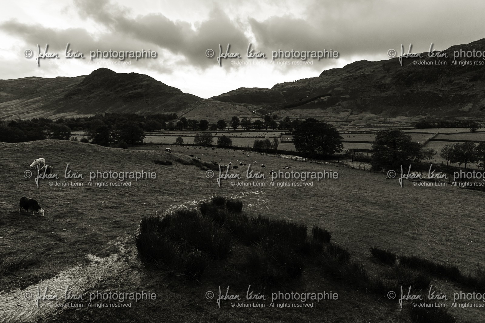 ambleside_lake-district-national-park_uk_oct-2012-2398-2.jpg