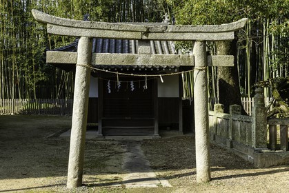 kokubunji_temple-80_shikoku_japon_08-04_2014-4409.jpg