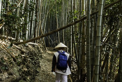 en-route-vers_temple-19_shikoku_japon_09-03_2014-2187.jpg