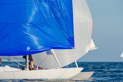 Armistice Cup Dragon 2022