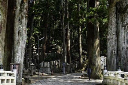 koyasan_japon_jl_1dx_17-04-2014-5217.jpg