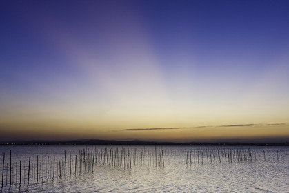 l-albufera_valencia_21-09-2011-0276.jpg
