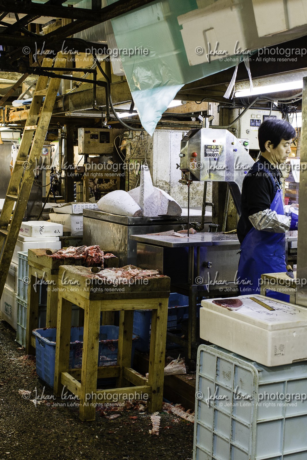 tsukiji-fish-market_tokyo_japon_jl_1dx_08-05-2014-6579.jpg
