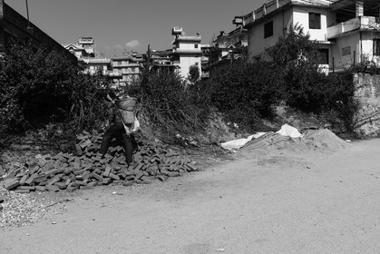 nepal_kathmandu_boudhanath-district_10-02-2013-36375.jpg
