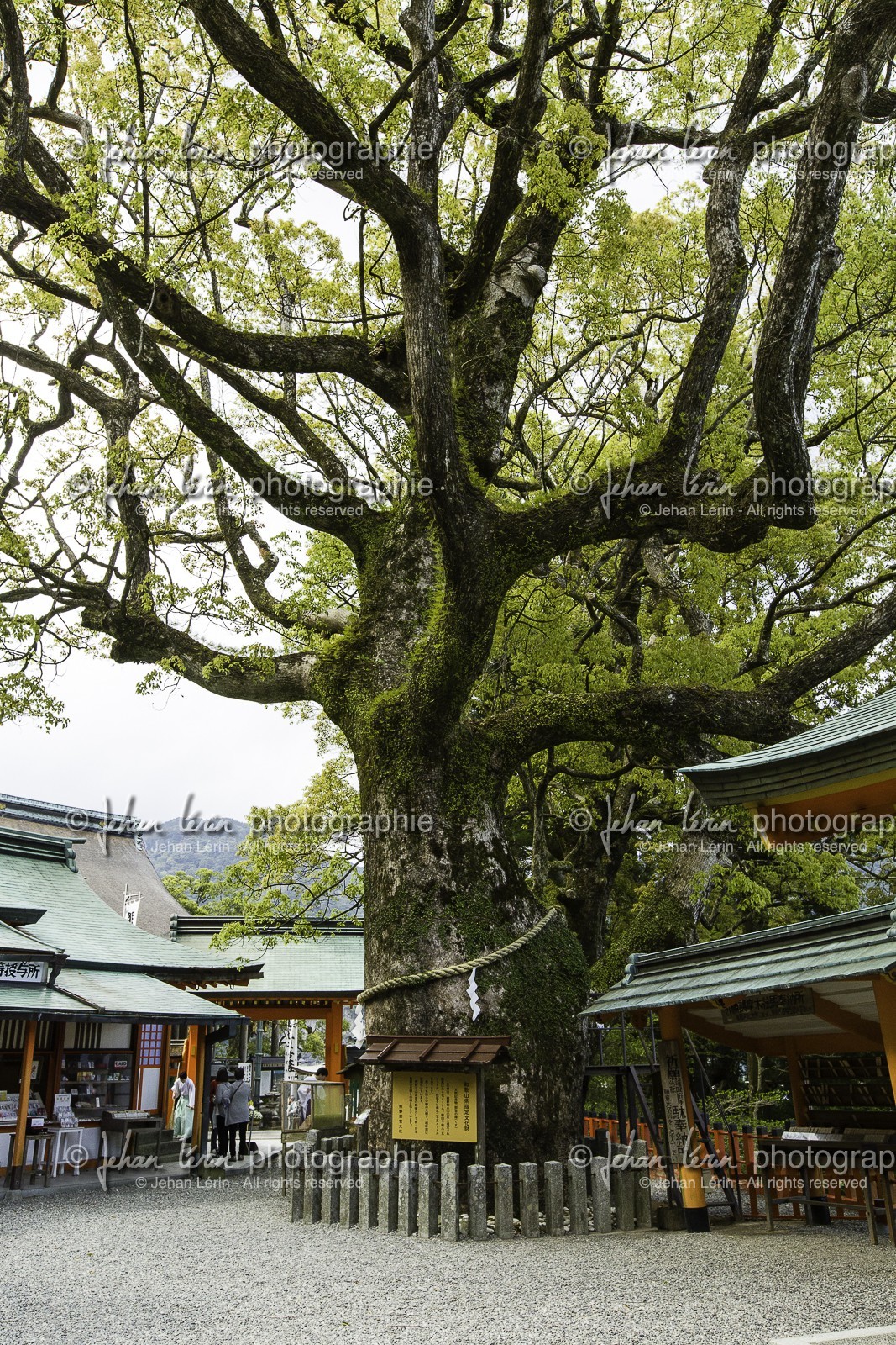 kumano-nachi-taisha_kumano-kodo-pilgrimage_japon_25-04-2014-1438.jpg