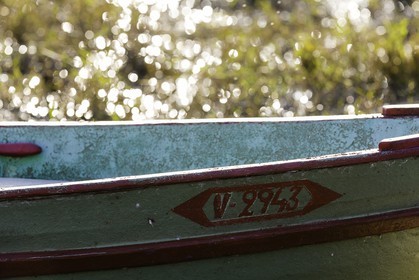 l-albufera_valencia_23-12-2009-7438.jpg