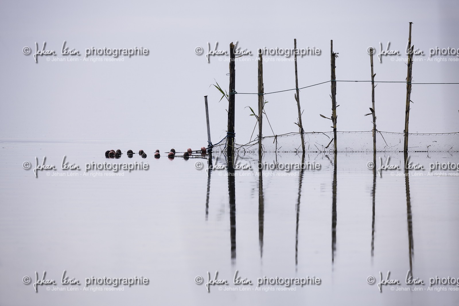 l-albufera_dec-2010-7879-2.jpg