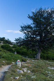 gr20_corse_jl_1dx_25-07-2016-0894.jpg