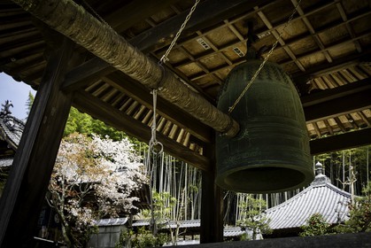 eifukuji_temple-57_shikoku_japon_01-04_2014-0912.jpg