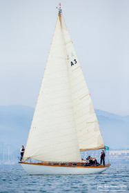 Les Dames de St Tropez