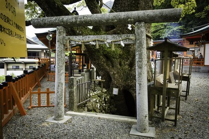 kumano-nachi-taisha_kumano-kodo-pilgrimage_japon_25-04-2014-1427.jpg