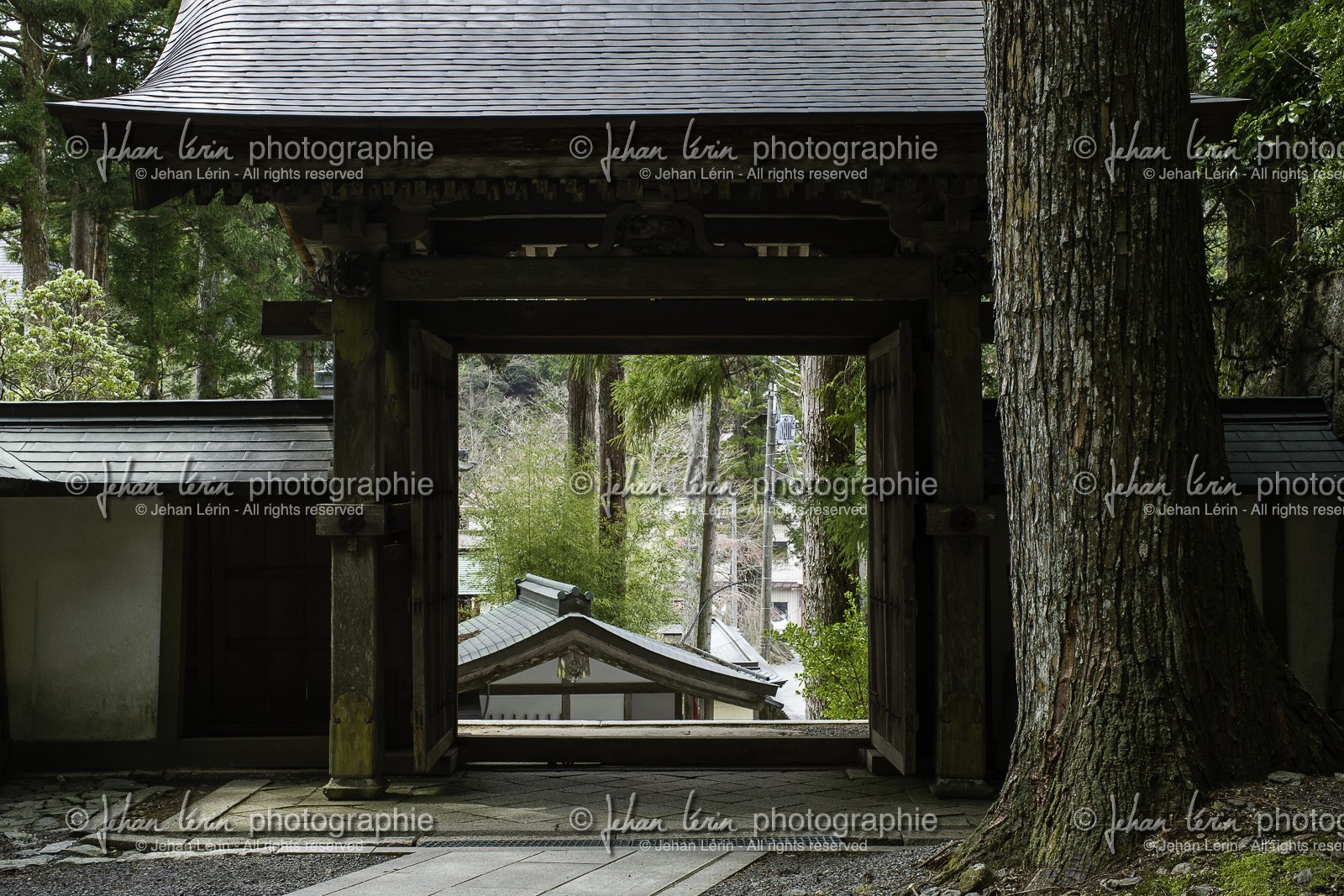 koyasan_japon_jl_1dx_16-04-2014-5017.jpg