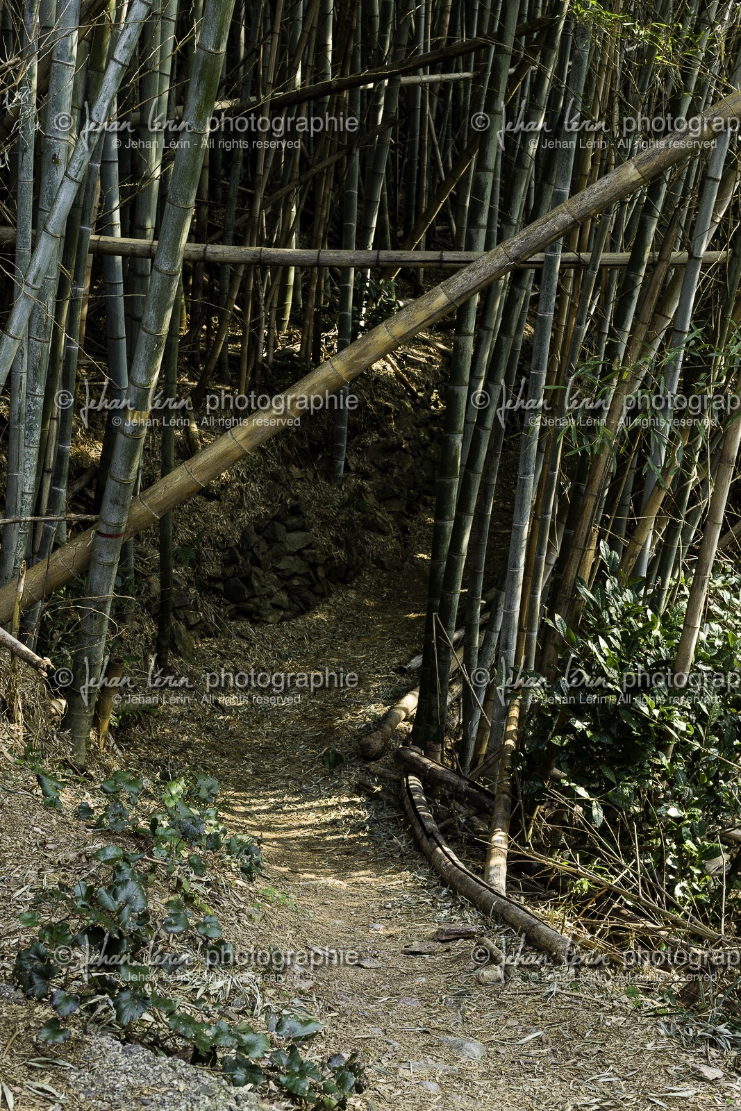 en-route-vers_temple-19_shikoku_japon_09-03_2014-2177.jpg