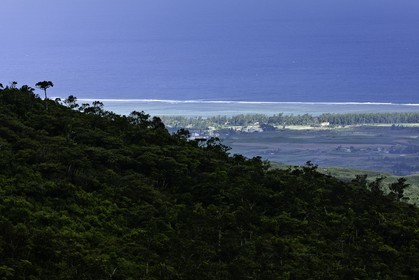 ile-maurice_aout-2009-4076.jpg