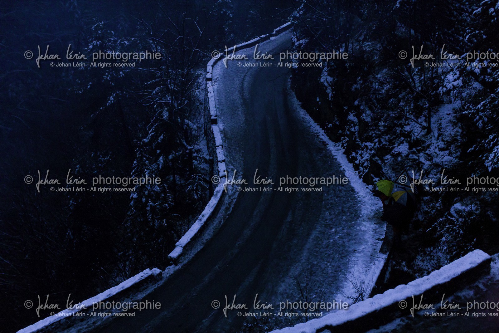 rallye-montecarlo-2013_ss14-moulinet-col-du-turini-la-bollene-vesubie_france_19-01-2013-35949.jpg