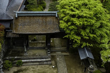 kumano-nachi-taisha_kumano-kodo-pilgrimage_japon_25-04-2014-5645.jpg