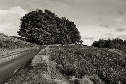 ambleside_lake-district-national-park_uk_oct-2012-2363-2.jpg