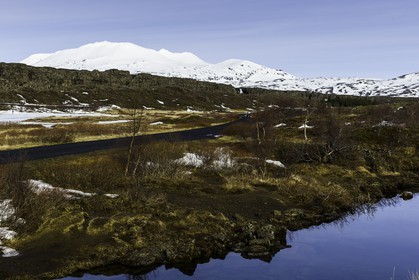 pingvellir_islande_20-03-2015-7973.jpg