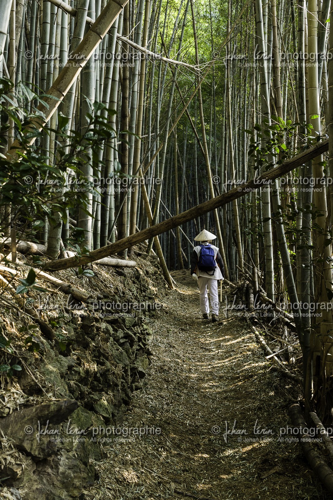 en-route-vers_temple-19_shikoku_japon_09-03_2014-2189.jpg