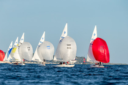 Armistice Cup Dragon 2022