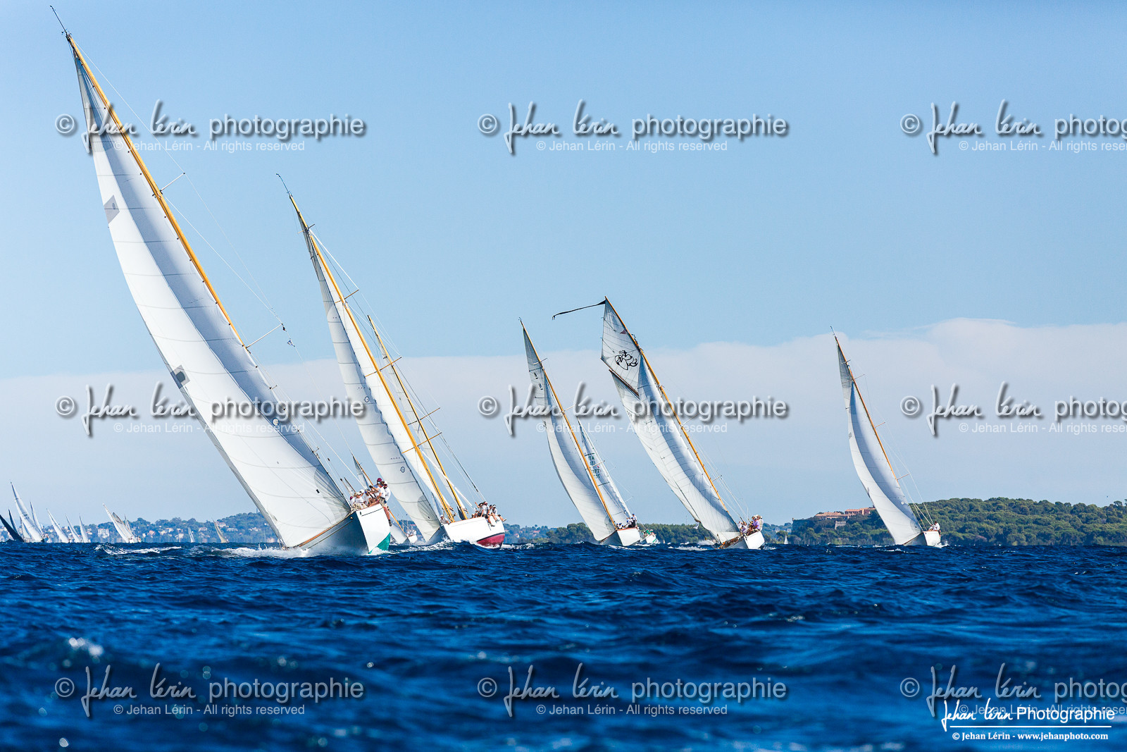 Régates Royales 2025