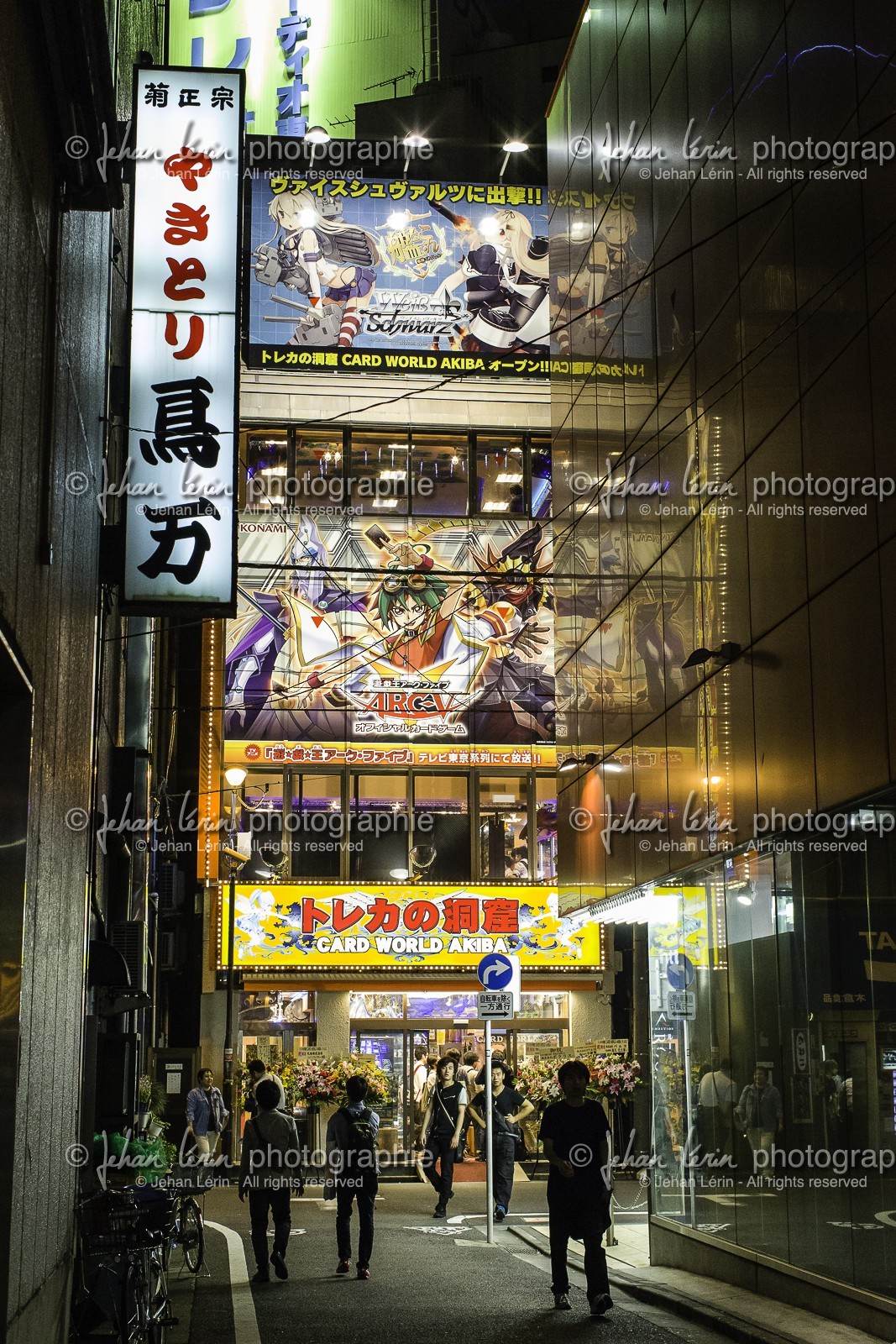 akihabara_tokyo_japon_jl_1dx_03-05-2014-6092.jpg
