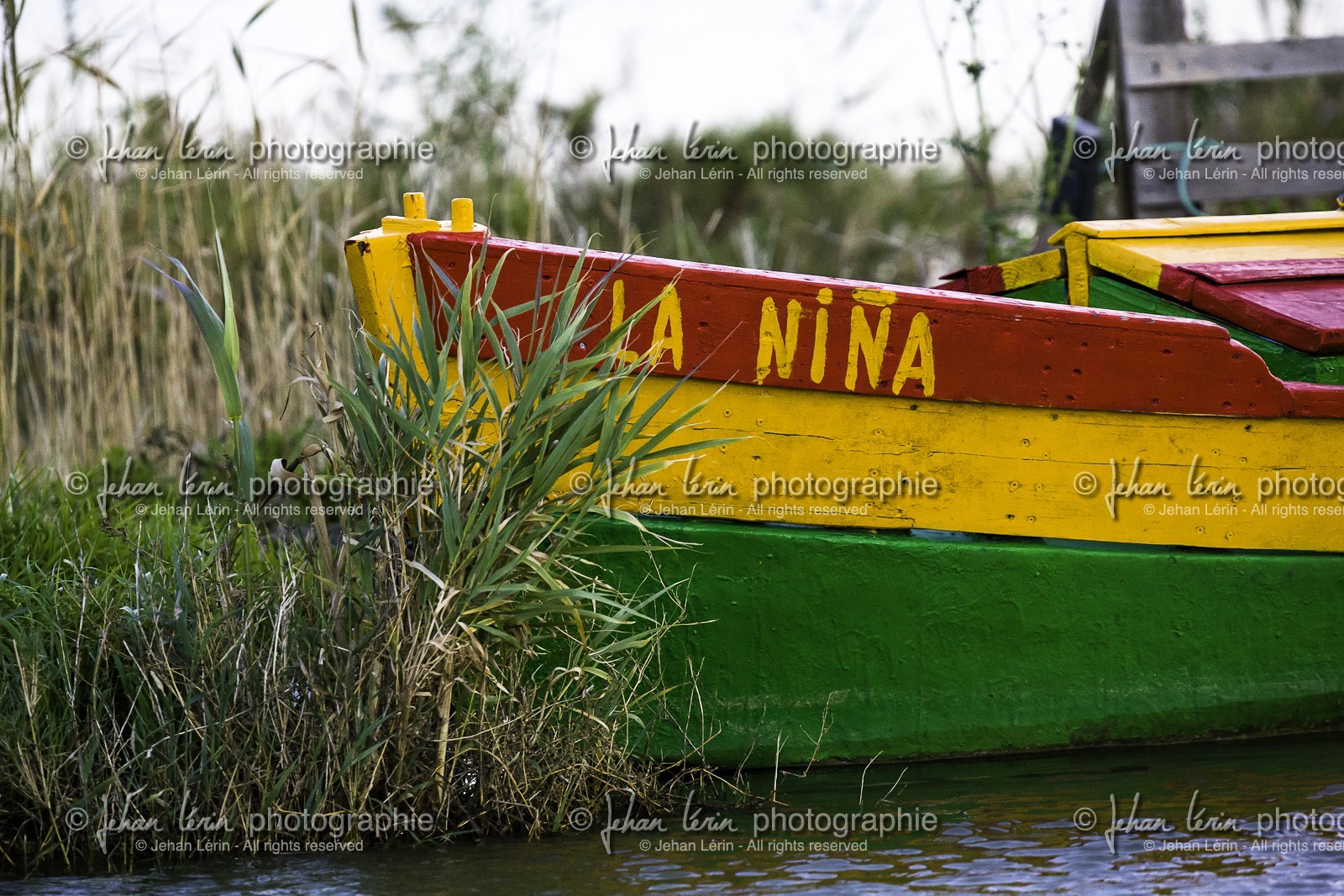 l-albufera_valencia_17-12-2009-7273.jpg