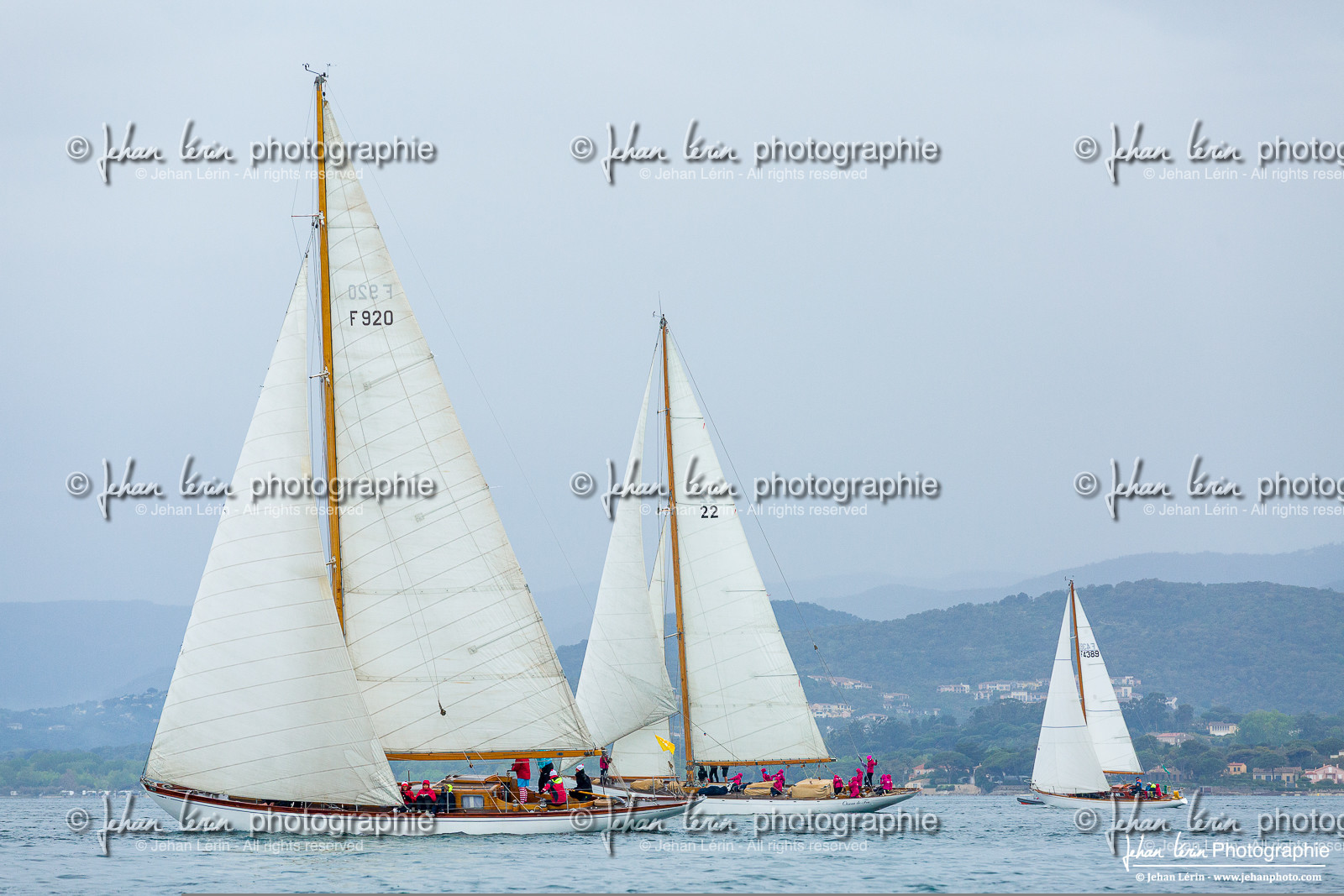 Les Dames de St Tropez