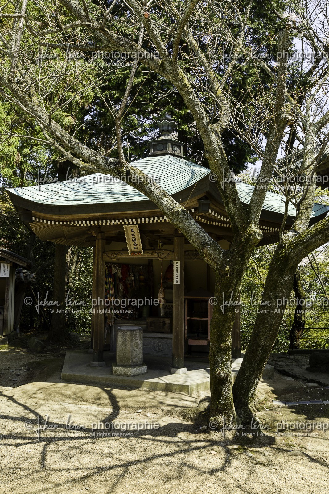 negoroji_temple-82_shikoku_japon_09-04_2014-1087.jpg